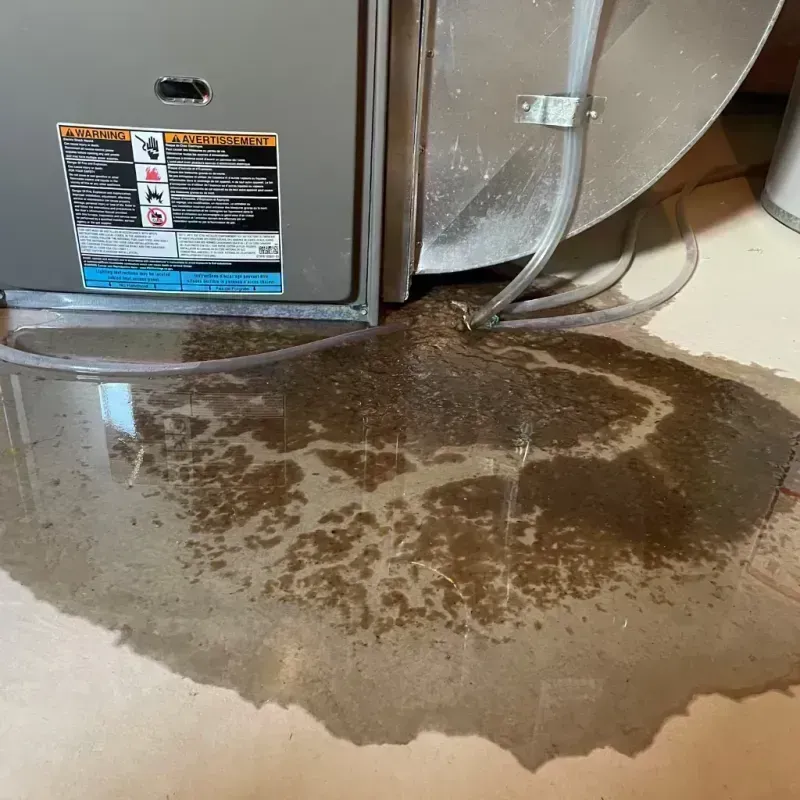 Appliance Leak Cleanup in Crest Hill, IL